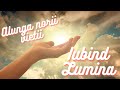 Transforma-ti viata simtind Prezenta Mamei divine in fiinta ta.-Lumina