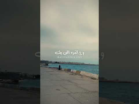 ما تيجي ياعم نتصالح فارس قطرية