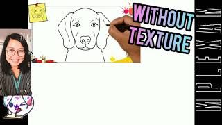Texture