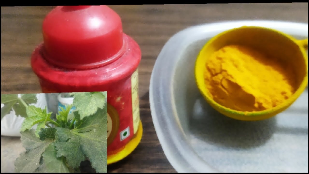 How to make Insecticide and Fungicides it's Home Remedies HD mini