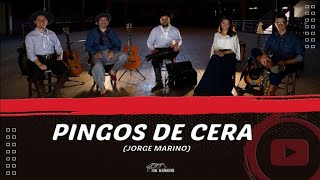 Video thumbnail of "Pingos de Cera (Musical do Rancho)"