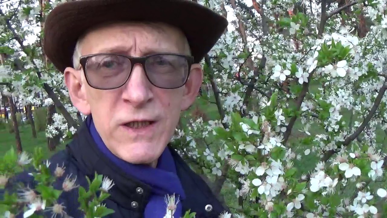 Spring: Flowers & Bees, Foreigners and Ladies in Ukraine.