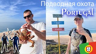 видео: Краб, Саргу и мутная вода - Подводная охота в Португалии картинка: Краб, Саргу и мутная вода - Подводная охота в Португалии