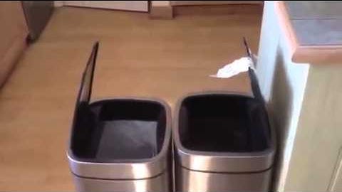 Dad laughing at screaming robot bins