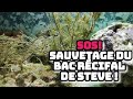 Bac en peril chez steve pisode 1