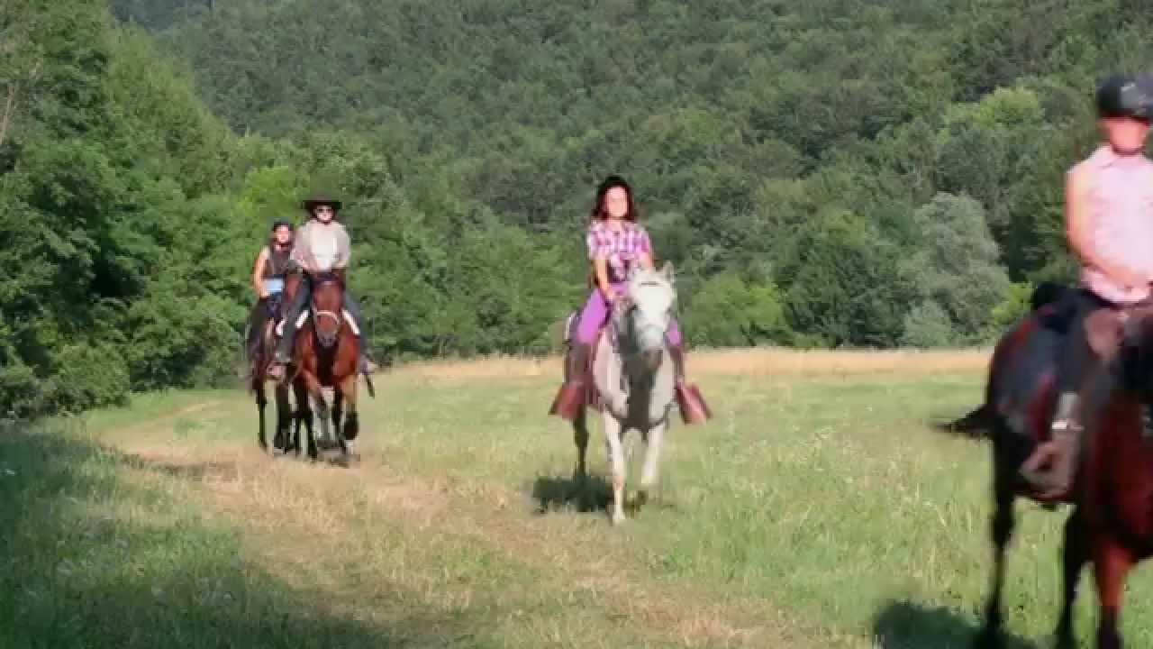 Terrain riding experience in Croatia