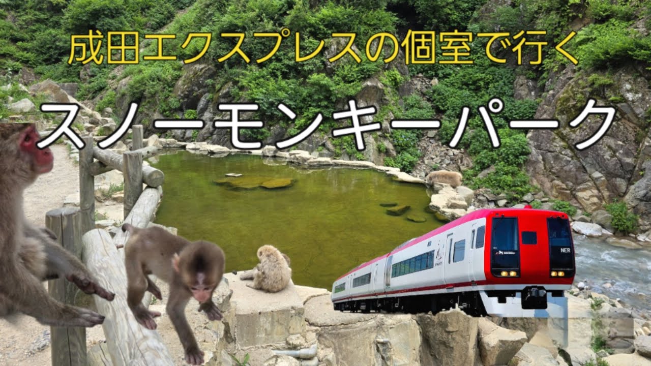成田エクスプレスの個室で行くスノーモンキーパークと渋温泉
