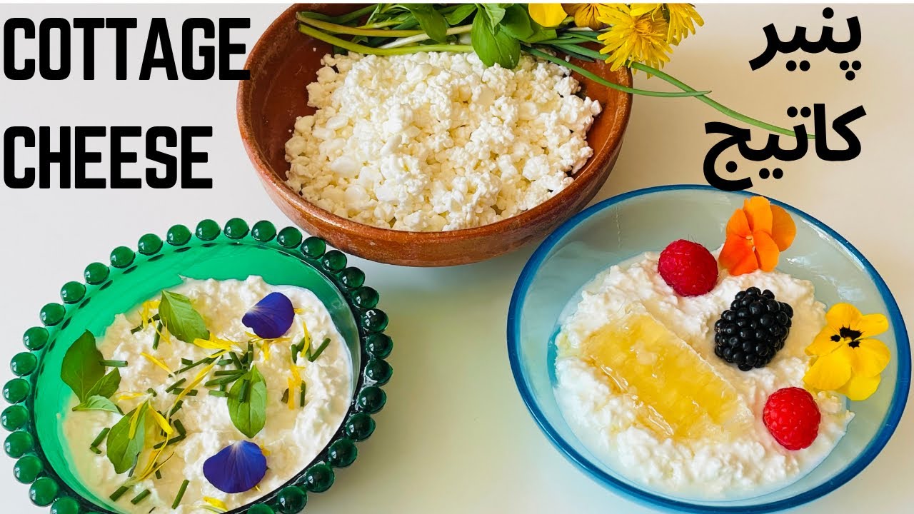 آموزش پنیر کاتیج پروبیوتیک 🥛🐑🧀How  to Make Professional Cottage Cheese