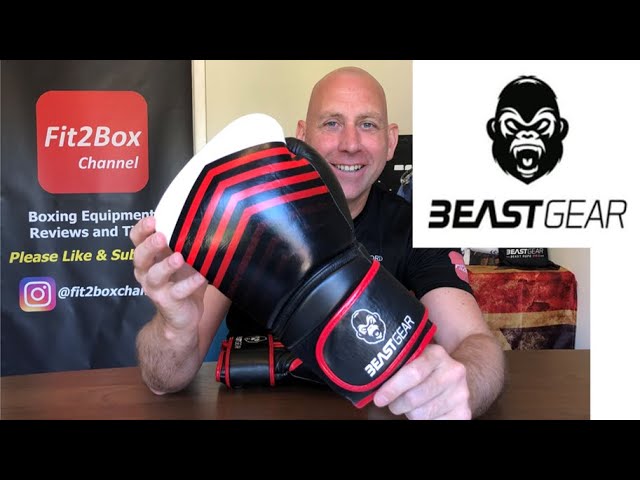 Beast Gear Gants de Boxe : Modèle d'Entrainement de Boxe Simian en  véritable Cuir de Vache - pour Punching Ball, Pads, Sparring - 10oz :  : Sports et Loisirs