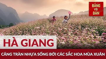 Sắc hoa Xuân trên vùng cao nguyên đá | Đảng với Dân