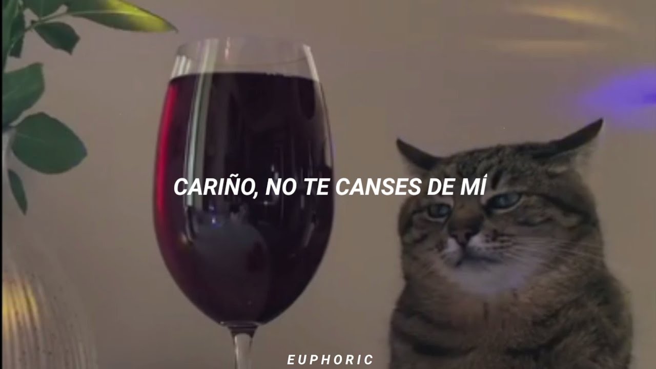 pov: estás bebiendo en compañía del gato