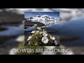 [Elettro] – “ ✻H 3 ЯД✻7luCJIo0T6 ” By Vyrval | Flowers Are Blooming In Antarctica | (Sped Up)