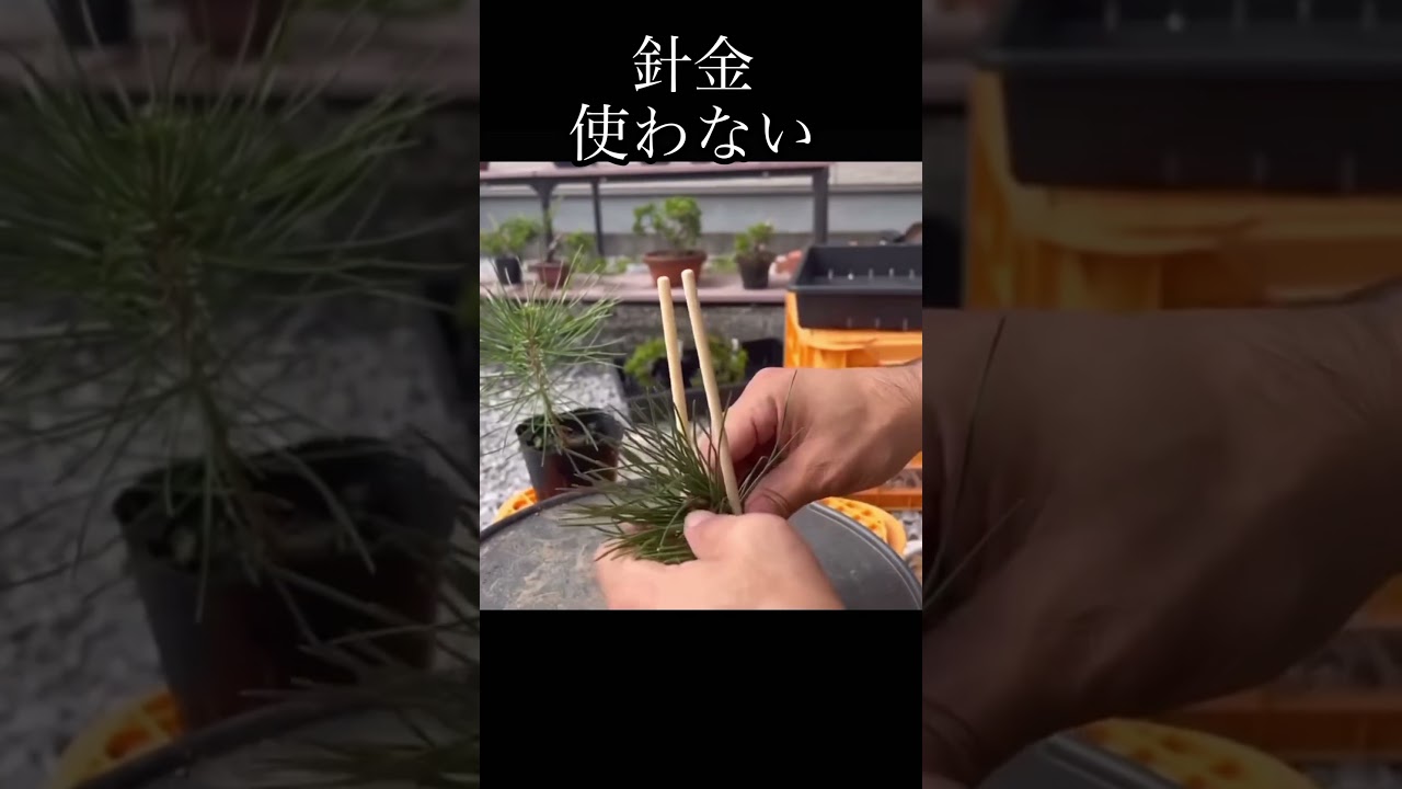 針金使わない曲付け　