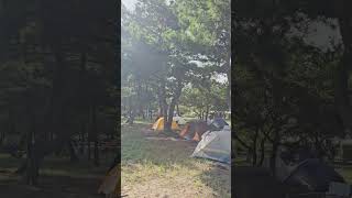 #자월도 #장골해수욕장 #백패킹 #백패커 #자월도백패킹 #백컨트리실타프3 #백컨트리 #툰드라 #백컨트리툰드라