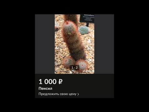 Смешные Объявления с Авито | Сборник #1