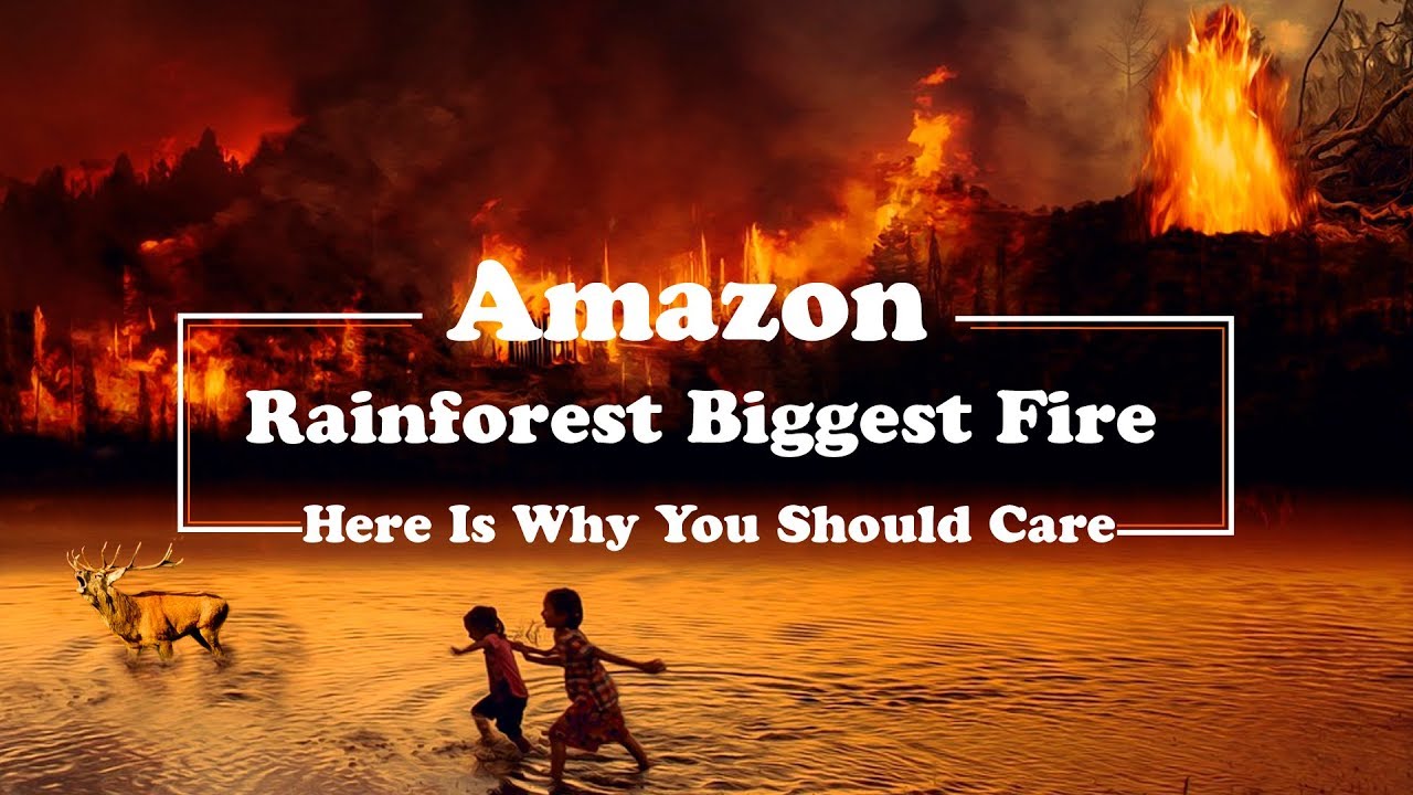 Biggest Amazon Rain-forest Fire Ever | Arial Footage | Causes behind How it Started?