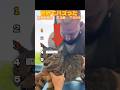【凄技】ネコの整骨TOP5 #shorts