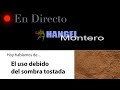 EL USO DEBIDO DEL SOMBRA TOSTADA - Hangel Montero