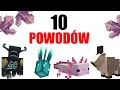 10 POWODÓW DLACZEGO MINECRAFT 1.17 JEST NAJWAŻNIEJSZĄ AKTUALIZACJĄ