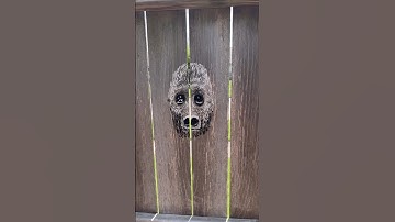 Art on fence #art #shorts