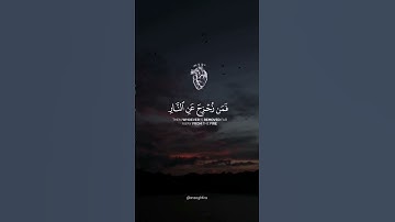اكتب شيء تؤجر عليه 🤍 #القارئ_ياسر_الدوسري #ياسر_الدوسري #القرآن_الكريم #quran #القارئ_اسلام_صبحي