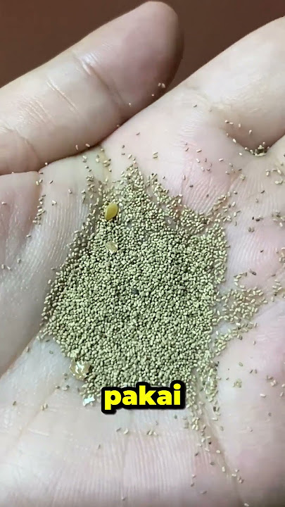 Your door looks smooth on the outside, but it's rusty on the inside?