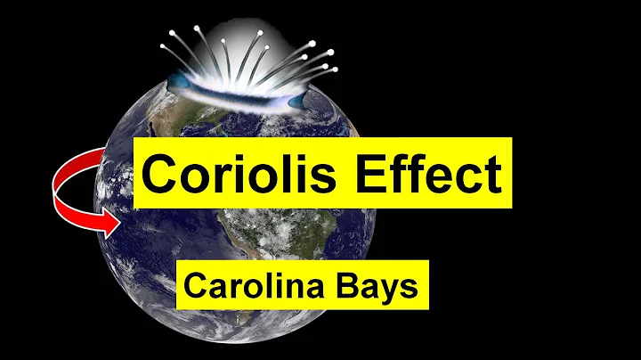 Coriolis Effect on the Carolina Bays