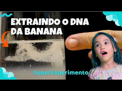 Vídeo: O DNA humano corresponde a uma banana?