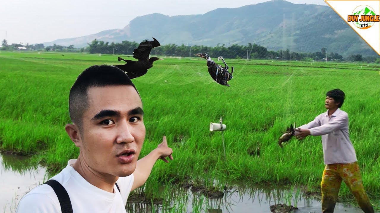 Bắt Chim Bằng Lưới : Bắt Chim Cò, Gà Nước, chim Chích | Duy Jungle