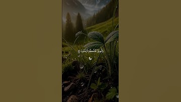 قرآن كريم راحة نفسية 🤍🎧 متابعة للصفحة فضلاً 🥰🤍 #قرآن #قران_كريم