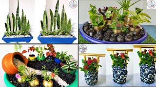 Transform Your Desk With Creative Plant Decor Workspace Plant Decoration Tips From Priyas Diary