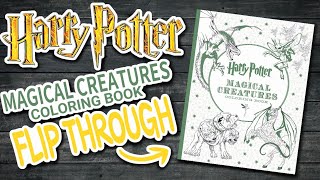 Harry Potter Colouring Book Flip Through 