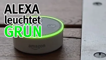 Warum leuchtet Alexa dauerhaft grün?