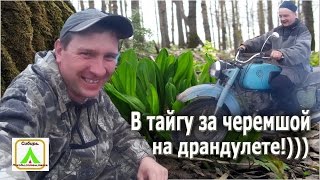 В тайгу за черемшой на драндулете!))