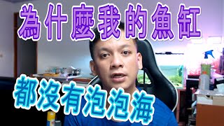 水草新手篇32(上) | 草缸如何擁有泡泡海|光合作用| 光反應| 暗反應