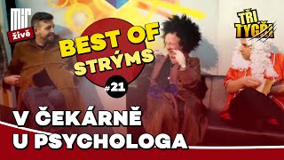 TŘI TYGŘI | V čekárně u psychologa | Best of strýms #21