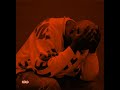 Kelvin Momo - Ixesha (ft. TBO, Jay Sax & Sipho Magudulela) (slowed   reverb)