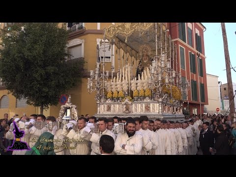 Real Cofradía de Nuestro Padre Jesús a su Entrada en Jerusalén y María Santísima del Amparo