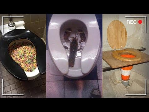 weird-pictures-of-toilets