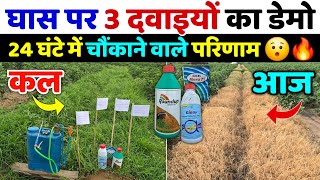 3 खरपतवार नाशक दवाइयों का डेमो | 24 घंटे में अलग अलग रिजल्ट | घास का सफाया | kharpatwar nashak dawa screenshot 3