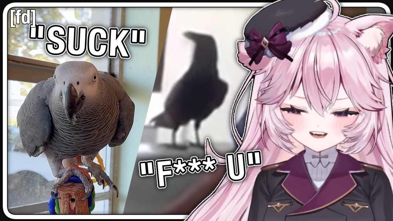 Nyanners LOVES These Talking Birds