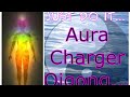 Aura's Qigong- Just Do It Qigong Shun Dao Day 1 afternoon Auras