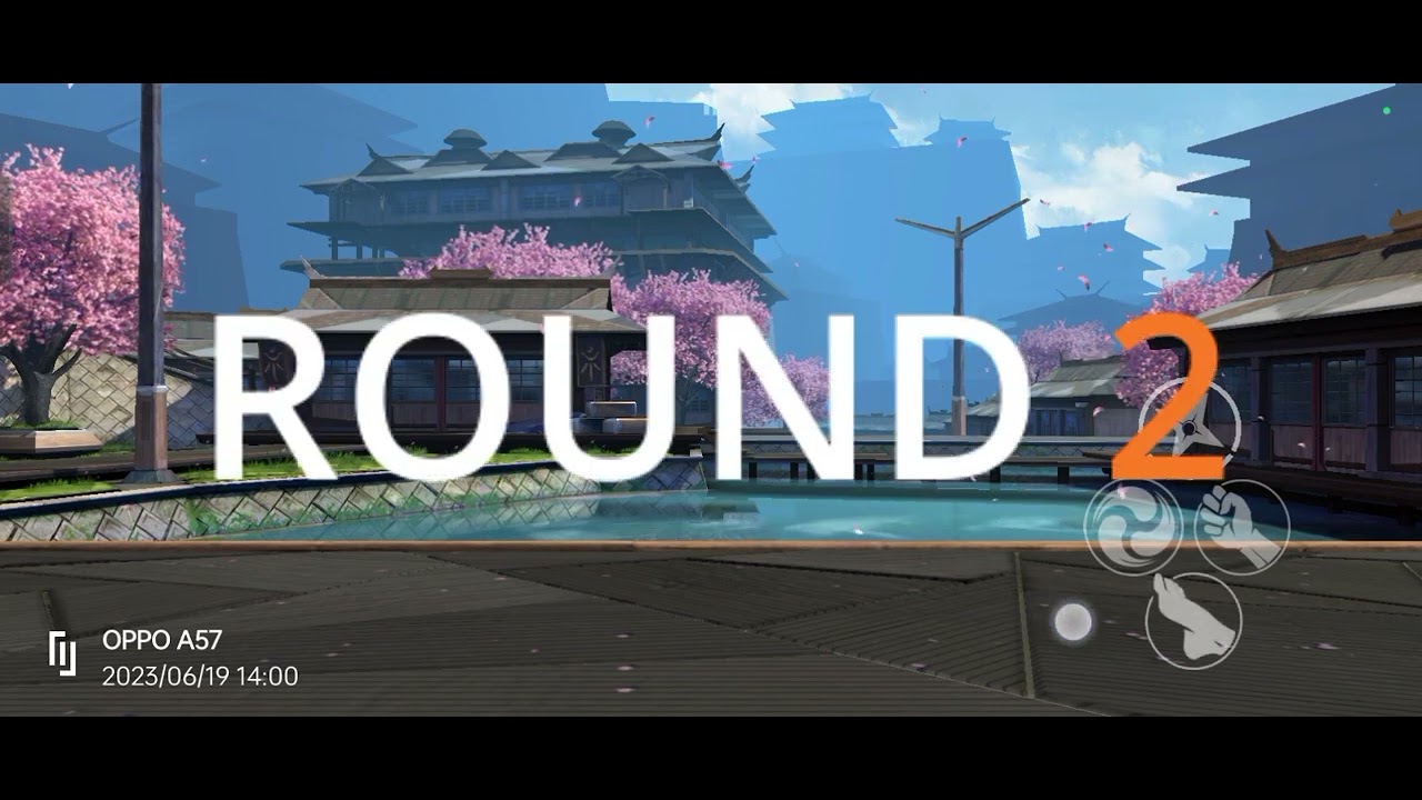 shadow fight gaming video