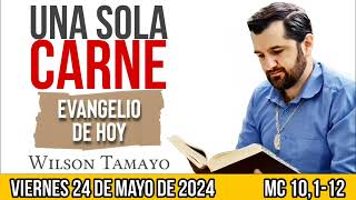 Evangelio de hoy VIERNES 24 de MAYO (Mc 10,1-12) | Wilson Tamayo | Tres Mensajes by Wilson Tamayo 60,444 views 6 days ago 14 minutes, 50 seconds