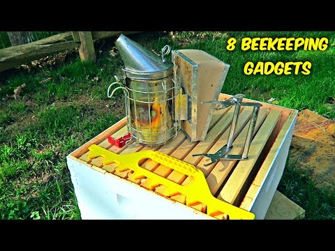 Video: 8 Beekeeping Products Used In Medicine