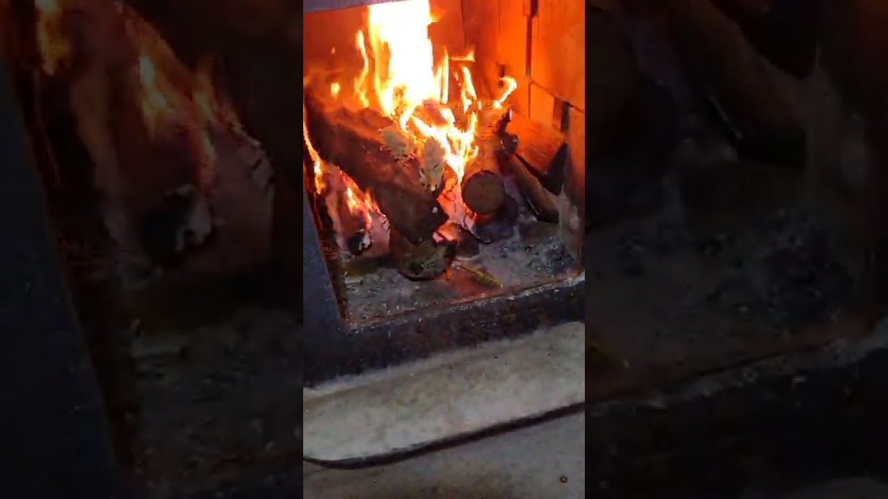 what to do with moldy weed