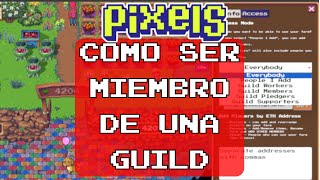 ACTUALIZACION PRECHAPTER 2 | SER GUILD MEMBER Y RECIBIR ROLES  @pixels_online