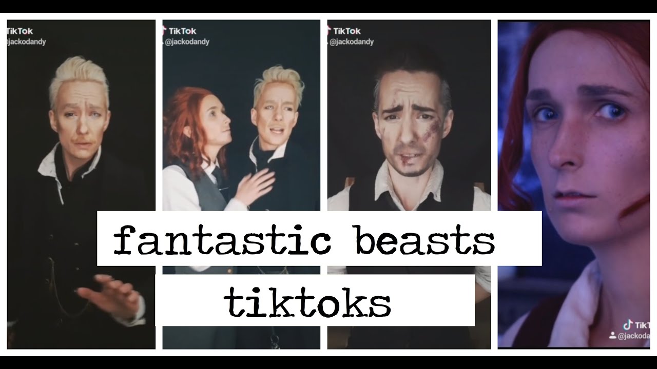 {fantastic beasts: tiktoks}