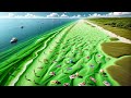 15 MOST UNUSUAL SAND BEACHES