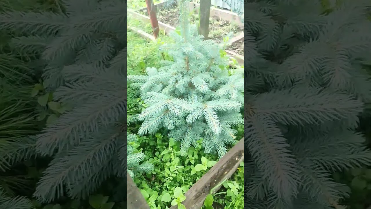 ОПЫТ ДОРОГО СТОИТ 